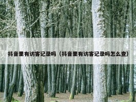 抖音里有访客记录吗（抖音里有访客记录吗怎么查）