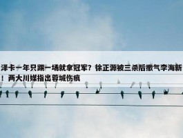 泽卡一年只踢一场就拿冠军？徐正源被三杀后撒气李海新！两大川媒指出蓉城伤痕