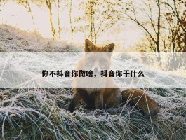 你不抖音你做啥，抖音你干什么