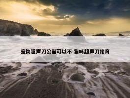 宠物超声刀公猫可以不 猫咪超声刀绝育