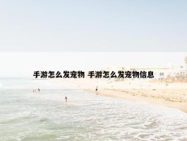 手游怎么发宠物 手游怎么发宠物信息