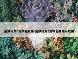 造梦西游3宠物在几级 造梦西游3宠物在几级可以用