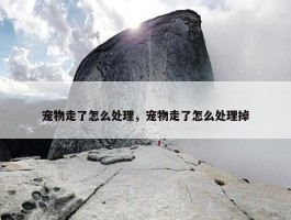 宠物走了怎么处理，宠物走了怎么处理掉