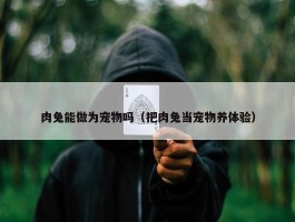 肉兔能做为宠物吗（把肉兔当宠物养体验）