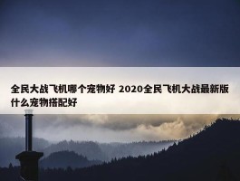 全民大战飞机哪个宠物好 2020全民飞机大战最新版什么宠物搭配好