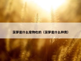 菠萝是什么宠物吃的（菠萝是什么种类）