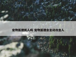 宠物狐狸抓人吗 宠物狐狸会主动攻击人