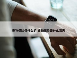 宠物保险保什么的 宠物保险是什么意思