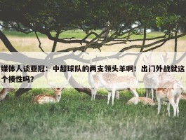 媒体人谈亚冠：中超球队的两支领头羊啊！出门外战就这个揍性吗？