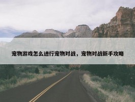 宠物游戏怎么进行宠物对战，宠物对战新手攻略