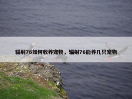 辐射76如何收养宠物，辐射76能养几只宠物