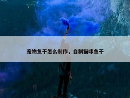 宠物鱼干怎么制作，自制猫咪鱼干