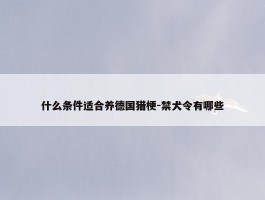 什么条件适合养德国猎梗-禁犬令有哪些