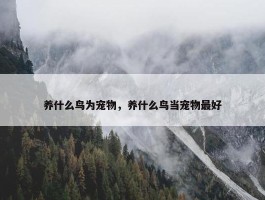 养什么鸟为宠物，养什么鸟当宠物最好