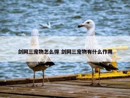 剑网三宠物怎么得 剑网三宠物有什么作用