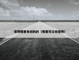 宠物哪里有收购的（哪里可以收宠物）