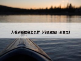 人看到狐狸会怎么样（花狐狸是什么意思）