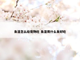 鱼渣怎么给宠物吃 鱼渣用什么鱼好吃