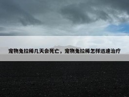 宠物兔拉稀几天会死亡，宠物兔拉稀怎样迅速治疗