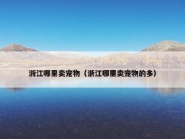 浙江哪里卖宠物（浙江哪里卖宠物的多）