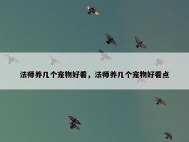 法师养几个宠物好看，法师养几个宠物好看点