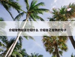 介绍宠物应该介绍什么 介绍自己宠物的句子