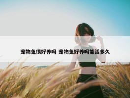 宠物兔很好养吗 宠物兔好养吗能活多久