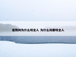 宠物狗为什么咬主人 为什么狗要咬主人