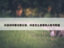 抖音如何看访客记录，抖音怎么查看别人账号数据