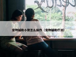 宠物辅助小便怎么操作（宠物辅助疗法）