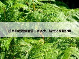 杭州的短视频运营工资多少，杭州短视频公司