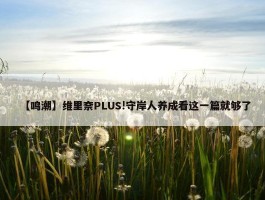 【鸣潮】维里奈PLUS!守岸人养成看这一篇就够了