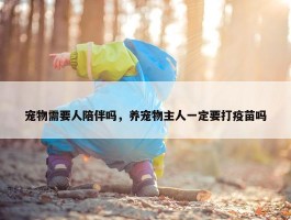 宠物需要人陪伴吗，养宠物主人一定要打疫苗吗