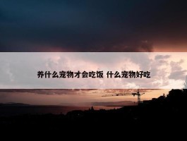 养什么宠物才会吃饭 什么宠物好吃