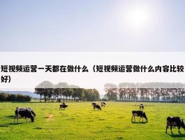 短视频运营一天都在做什么（短视频运营做什么内容比较好）