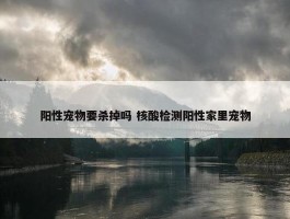 阳性宠物要杀掉吗 核酸检测阳性家里宠物