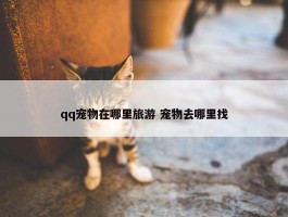 qq宠物在哪里旅游 宠物去哪里找