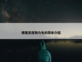 哪里卖宠物乌龟的简单介绍