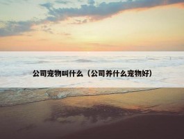 公司宠物叫什么（公司养什么宠物好）