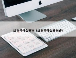 红狗带什么宠物（红狗带什么宠物好）