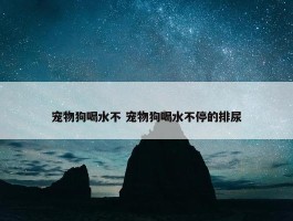 宠物狗喝水不 宠物狗喝水不停的排尿