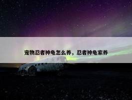 宠物忍者神龟怎么养，忍者神龟家养