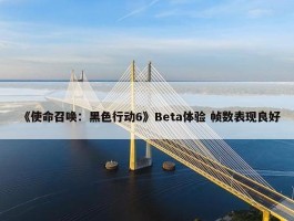 《使命召唤：黑色行动6》Beta体验 帧数表现良好