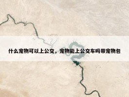 什么宠物可以上公交，宠物能上公交车吗带宠物包