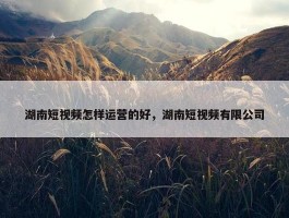 湖南短视频怎样运营的好，湖南短视频有限公司