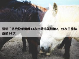 蓝狐门将战枪手贡献13次扑救排英超第2，仅次于德赫亚的14次