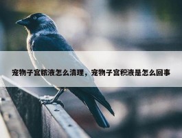 宠物子宫脓液怎么清理，宠物子宫积液是怎么回事