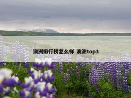 澳洲排行榜怎么样 澳洲top3