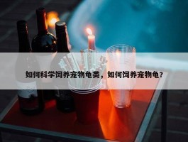 如何科学饲养宠物龟类，如何饲养宠物龟?