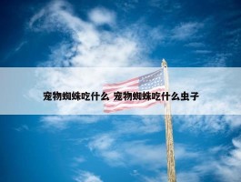 宠物蜘蛛吃什么 宠物蜘蛛吃什么虫子